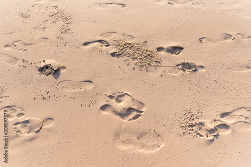 Footprint on the sand of a beach.Thailand.