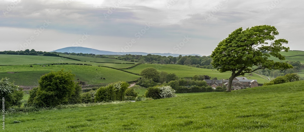 Obraz premium english landscape