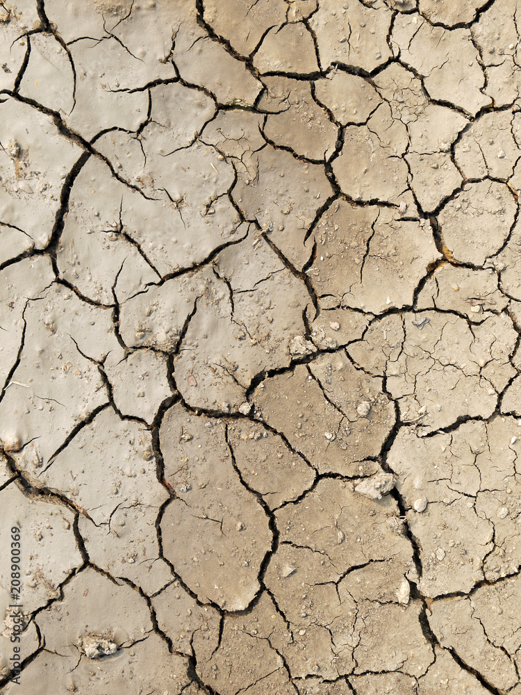 Fototapeta premium cracks in the ground