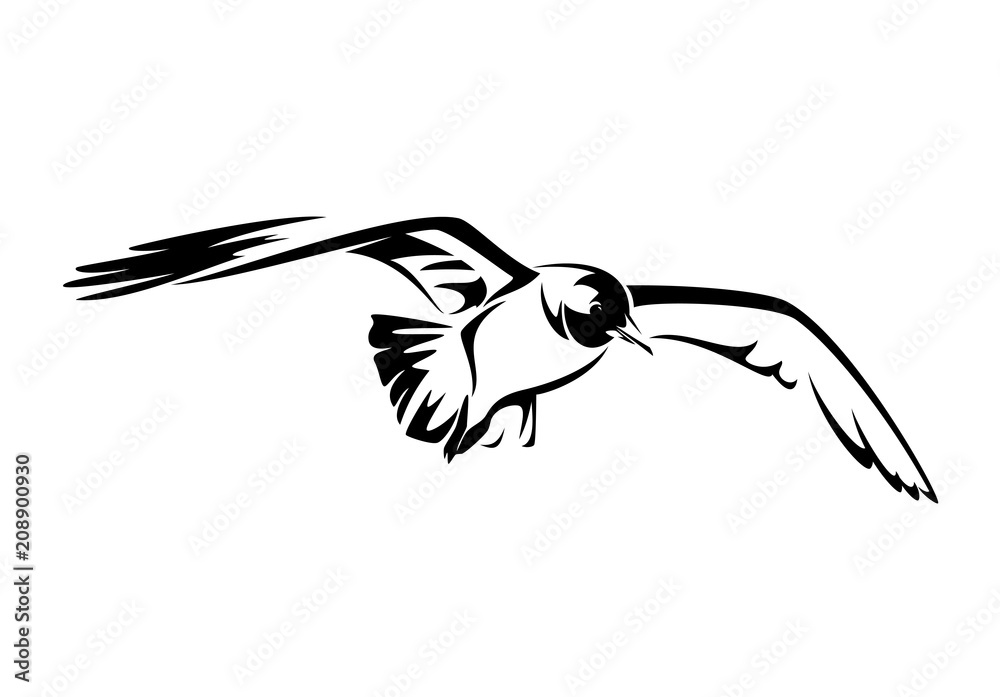 Naklejka premium flying seagull black and white vector illustration