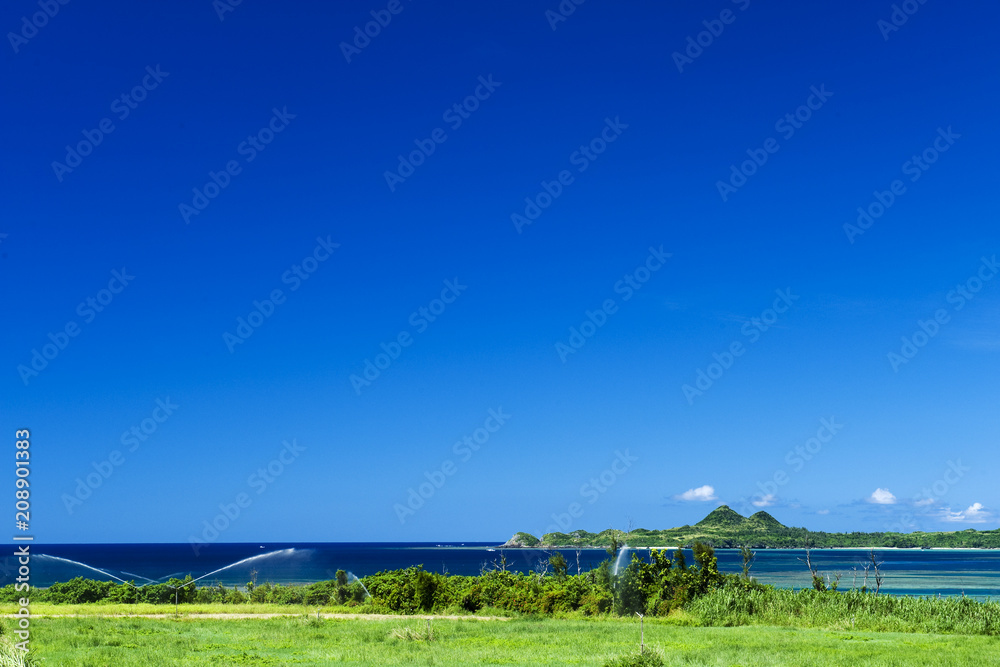 夏の海と牧草地 夏の海と牧草地