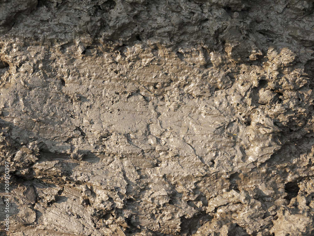 mud texture mud texture