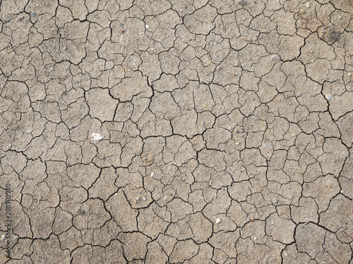 Cracks in the dried soil in arid season as a texture