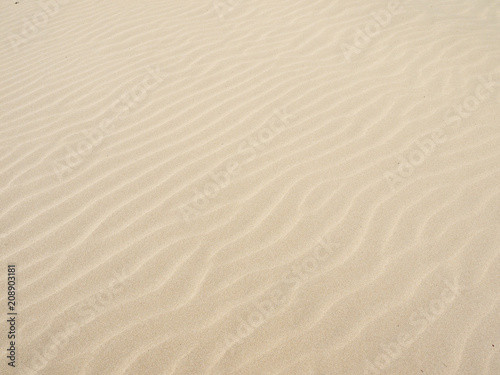 Fototapeta Naklejka Na Ścianę i Meble -  Sand texture.Dented wave of the blow of the wind