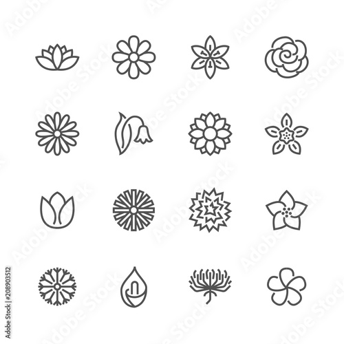 Flowers flat line icons. Beautiful garden plants - chamomile, sunflower, rose flower, lotus, carnation, dandelion, violet blossom. Thin signs for floral store. Pixel perfect 48x48. Editable Strokes