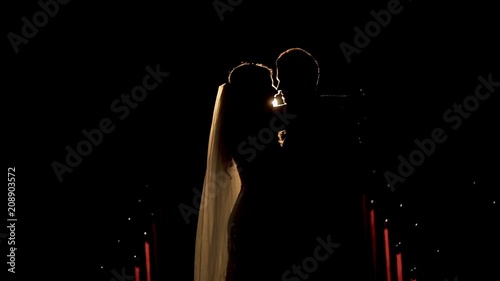 The silhouette of the bride and groom in the audience of the theatre