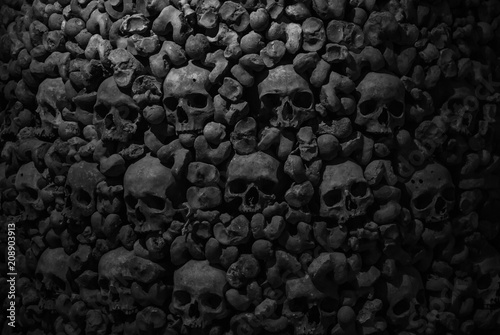 Collection of skulls and bones covered with spider web and dust in the catacombs. Numerous creepy skulls in the dark. Abstract concept symbolizing death, terror, and evil.