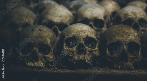 Collection of skulls covered with spider web and dust in the catacombs. Rows of creepy skulls in the dark. Abstract concept symbolizing death, terror, and evil. photo