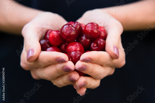 Fresh fruit red cherry in woman hand, close up © Kryuchka Yaroslav