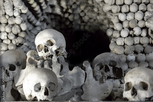 The skull among the bones.