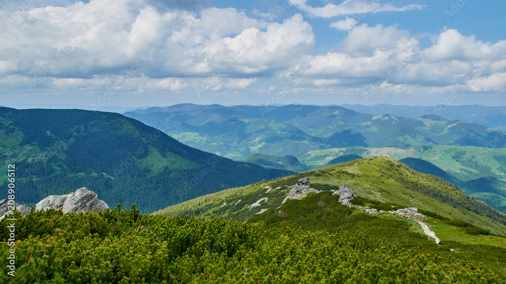 Panorama of green hills and roads in Carpathian mountains in the summer. Mountains landscape background
