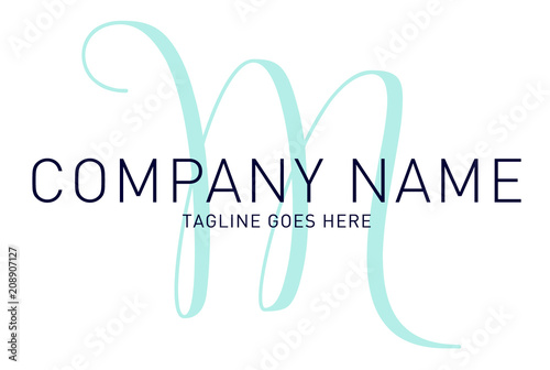 Classy Modern Sophisticated Bold Letter M Logo