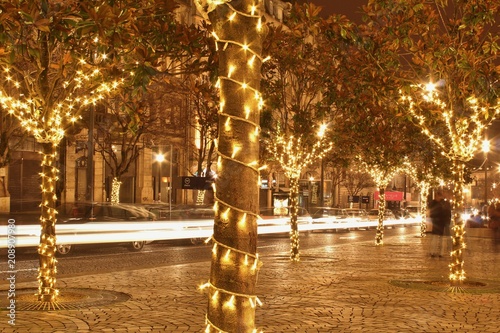 Lights