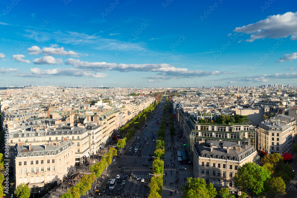 The Avenue des Champs-Elysees, Paris
