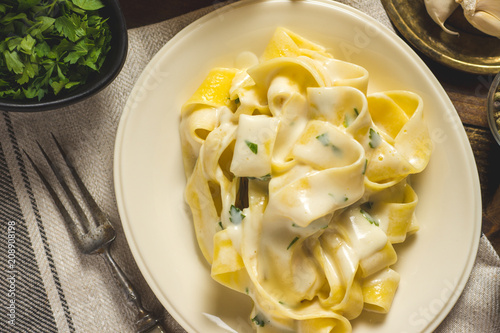 Alfredo Pasta Plate with Creamy Cheese and Basil Sauce