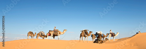 Caravan of camels in the Sand dunes desert of Sahara, South Tunisia