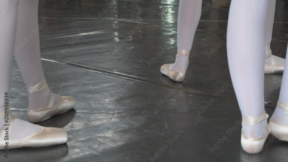 custom made wallpaper toronto digital4K young ballerina during ballet class