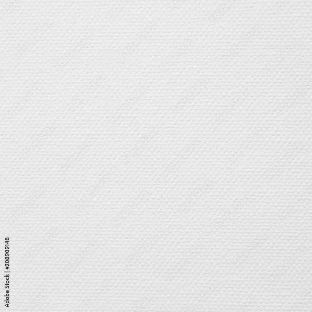 white canvas texture white canvas texture