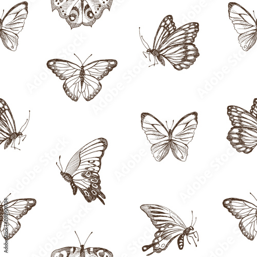 Collection of Hand Drawn brown silhouette butterflies. Vector illustration in vintage style. High detailed hand drawn illustration. Spring theme of butterfly. Vector design