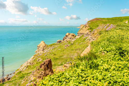 merveille de la côte d'opale 