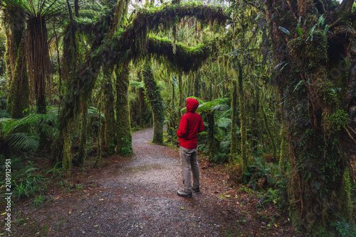 Man Enjoying New Zealand rainforest details landscape