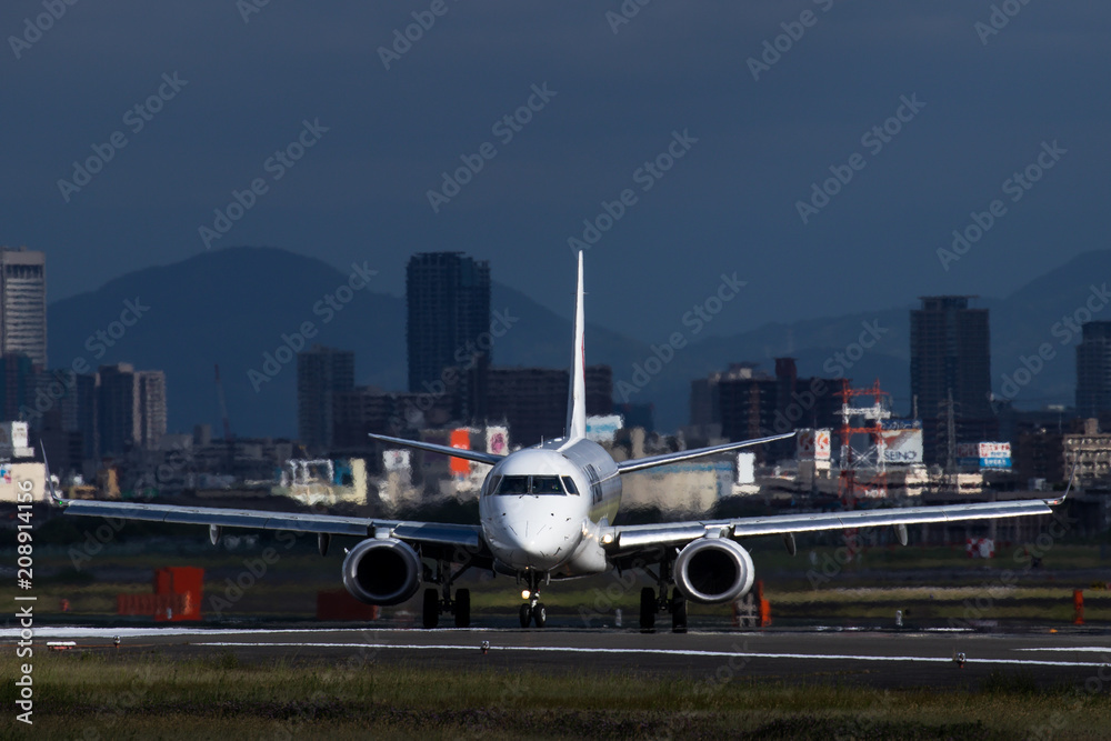 Fototapeta premium 着陸した飛行機