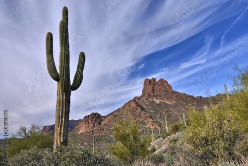 Saguaro Cactus and Miner's Needle Along the Dutchman Trail, Tonto National Forest, Arizona, America, USA