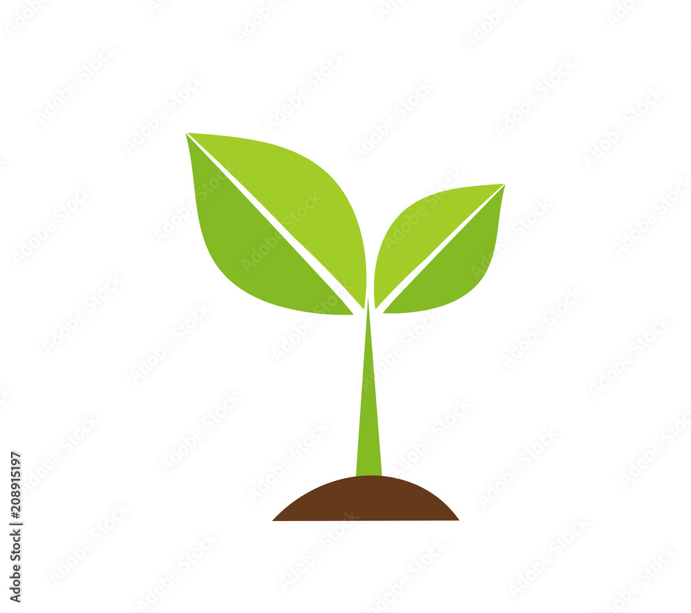 Plant seedling icon Plant seedling icon
