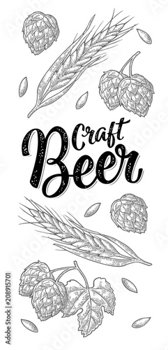 Ears of barley, leaves and cones of hops engraving. Craft Beer lettering.