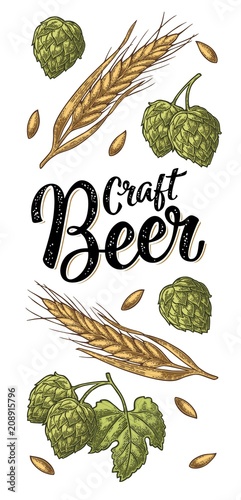 Ears of barley, leaves and cones of hops engraving. Craft Beer lettering.