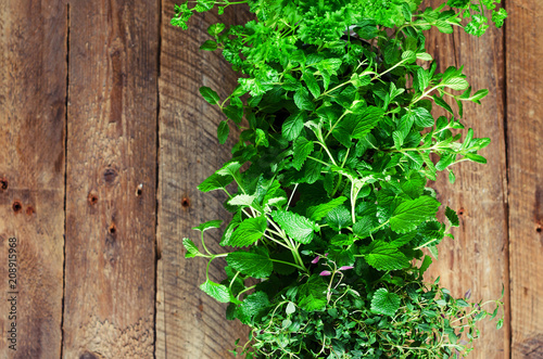 Collection of fresh organic herbs (melissa, mint, thyme, basil, parsley) on wooden background. Banner. Copy space. Abstract spring or summer concept.