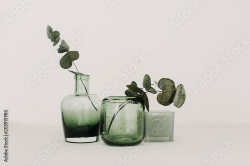 Glass vases with eucalyptus  photo