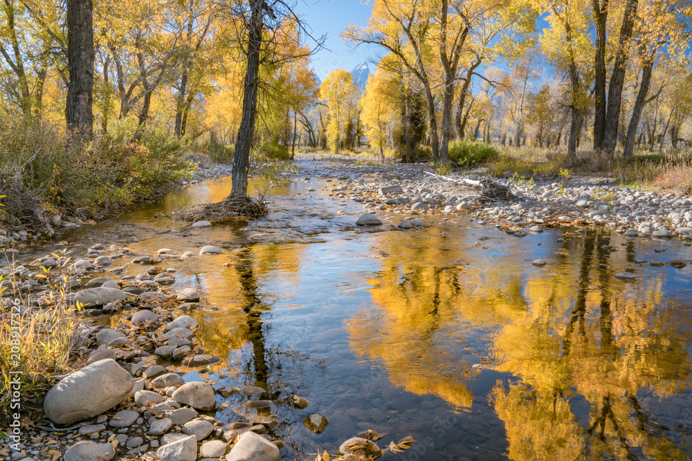 Obraz premium Grand Teton National Park Autumn