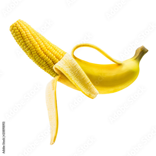 Corn stalks in banana photo