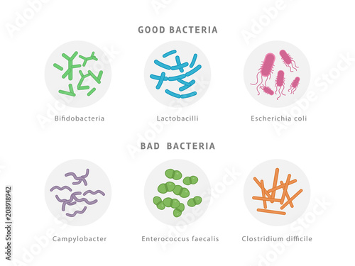 Good and bad bacterial flora icon set isolated on white background. Gut dysbiosis concept medical illustration with microorganisms.