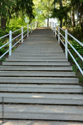 wooden stairs in the Park
