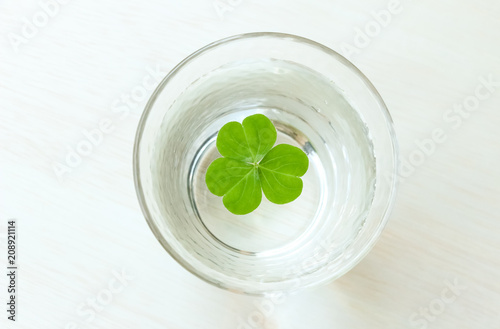 Clover leaf in the glass