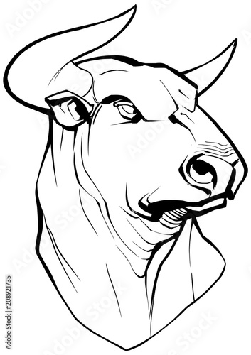 Bull on White / Illustration of a bull in black and white.