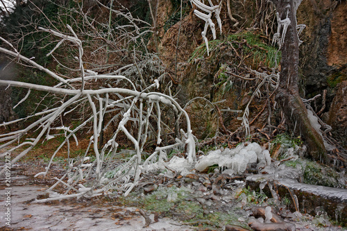 View of rocks and branches covered with ice on a cold winter day.