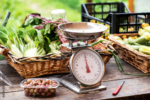 A scale with fresh farm produce on a market table