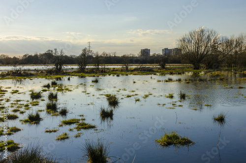 Flooded marshland are part of the floor plains of The River Kennet in Reading, UK.