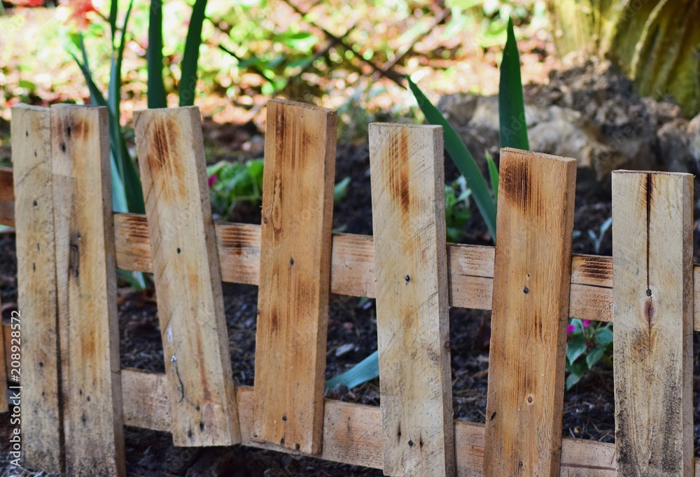 A small wooden fence encloses a flower bed in the Park.