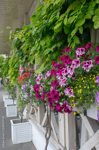 Street cafe flowers and herbs decor concept