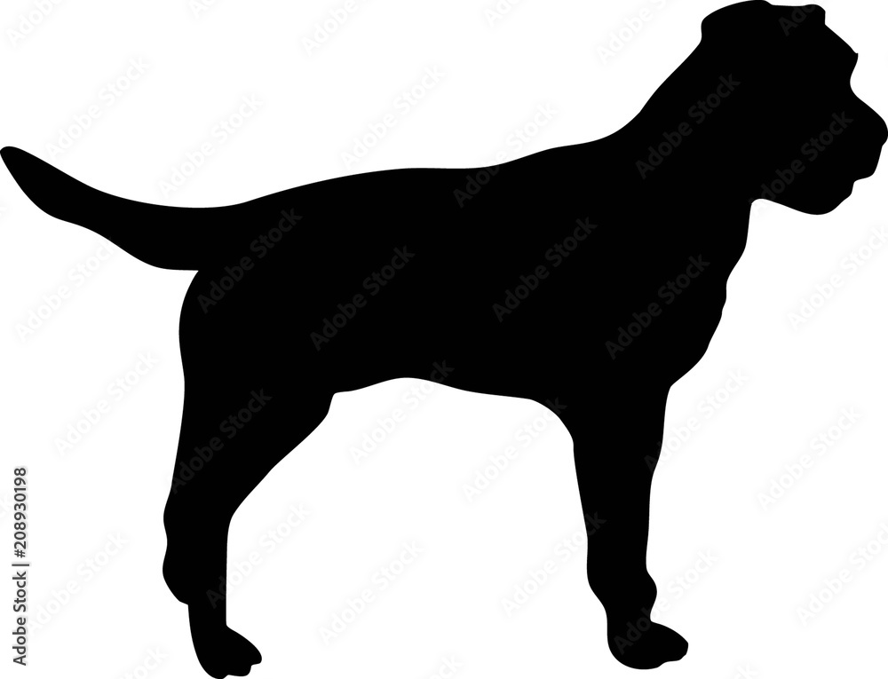 Border Terrier silhouette black