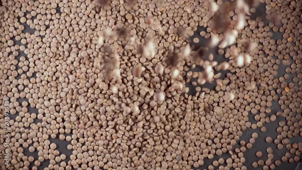 Slow motion on a gray background sprinkle green lentils from under the camera Slow motion on a gray background sprinkle green lentils from under the camera
