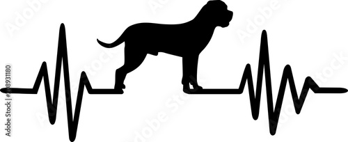 Cane Corso heartbeat