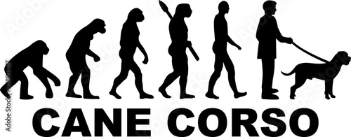 Cane Corso evolution word
