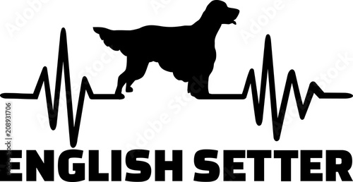 English Setter heartbeat word