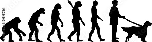 English Setter evolution