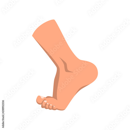 Male foot standing on toe vector Illustration on a white background